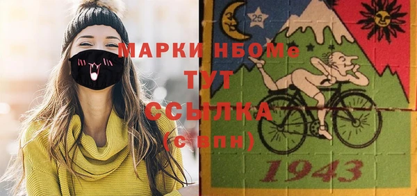 соль ск Пересвет