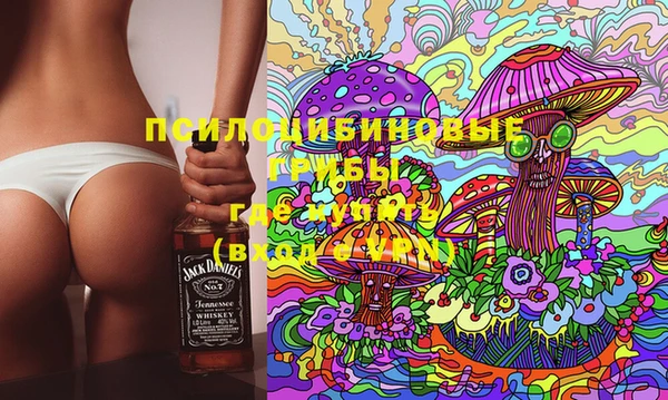 соль ск Пересвет