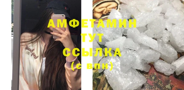 соль ск Пересвет