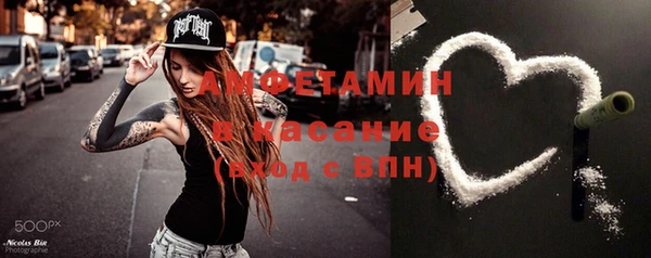 соль ск Пересвет