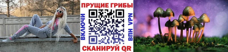 kraken зеркало  Таганрог  Галлюциногенные грибы Cubensis 