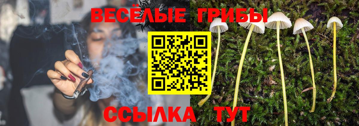 Псилоцибиновые грибы мухоморы  где купить   Галлюциногенные грибы Magic Shrooms  Таганрог  Вход с VPN 